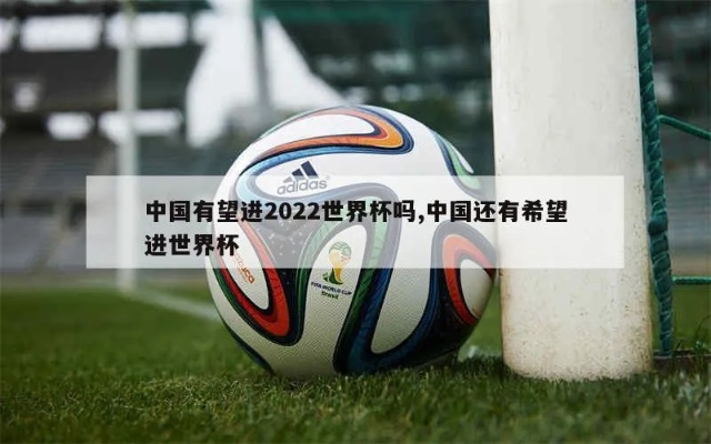 中国能进2018年世界杯 中国能进世界杯2022-第2张图片-www.211178.com_果博福布斯