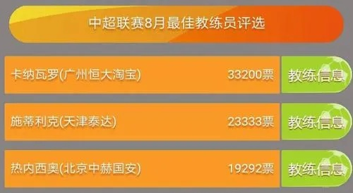 2017中超球队教练名单 2017中超十佳球